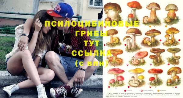 jwh Сафоново